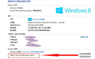 操作系統(tǒng)軟件產(chǎn)品ID查詢指南及常德軟件開(kāi)發(fā)服務(wù)概覽