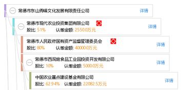 常德市東山秀峰文化發(fā)展有限責(zé)任公司 以文化為根基，打造常德軟件開(kāi)發(fā)新標(biāo)桿